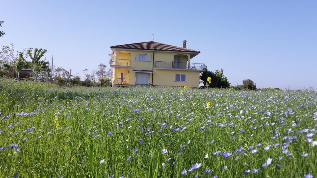 Guest house Marianna Vasto